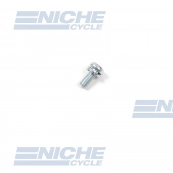 Mikuni Screw with Spring Washer CW2-0307