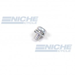 Mikuni Screw with Spring Washer CW2-0406