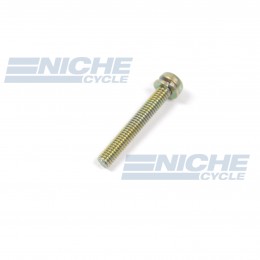 Mikuni Screw with Spring Washer CW2-0428