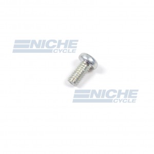 Mikuni Screw C2-0408