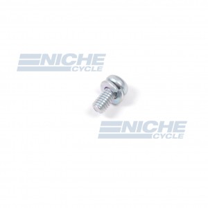 Mikuni Screw with Spring Washer CW2-0408