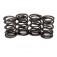 BMW R Model .500: Valve Spring Set 90-9031