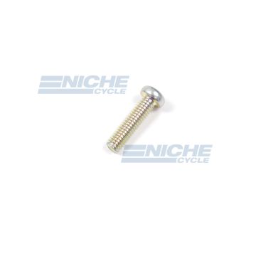 Mikuni Screw C2-0416 