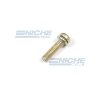 Mikuni Float Bowl Screw (4x16mm) CW2-0416 