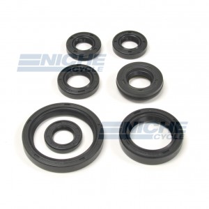 Yamaha 660 Raptor Engine Oil Seal Kit 19-84454